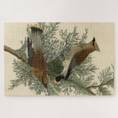 Cedar Bird, Cedar Waxwing Audubon Birds of America Puzzle (Horizontal)