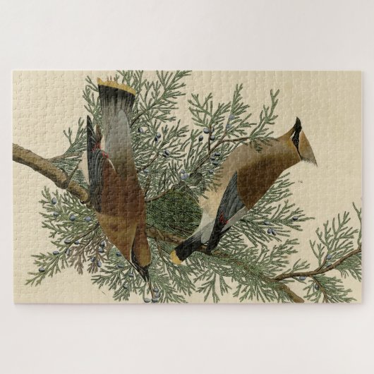 Cedar Bird, Cedar Waxwing Audubon Birds of America Puzzle (Horizontal)