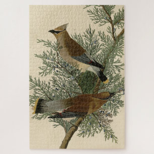 Cedar Bird, Cedar Waxwing Audubon Birds of America Puzzle