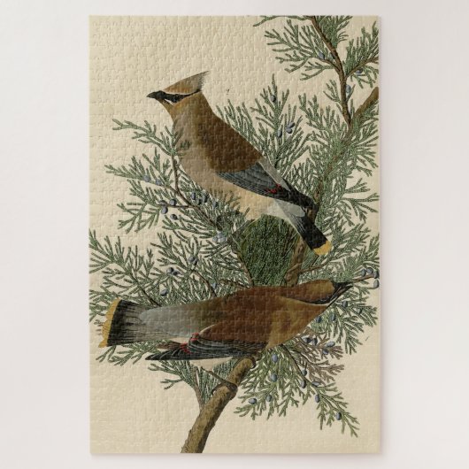 Cedar Bird, Cedar Waxwing Audubon Birds of America Puzzle (Vertikal)