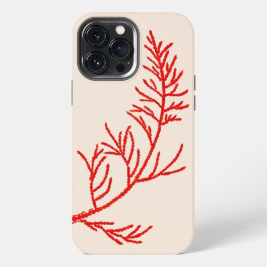 Cedar-Blätter auf einem iPhone-Fall iPhone Hülle (Rückseite)