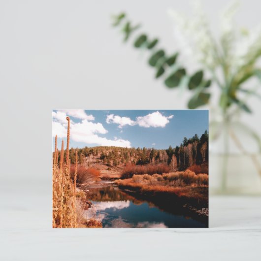 Cedar Breaks National Area, Utah Postkarte (Stehend Vorderseite)