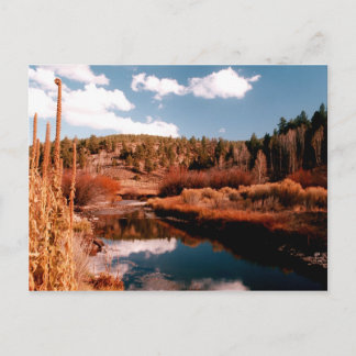 Cedar Breaks National Area, Utah Postkarte