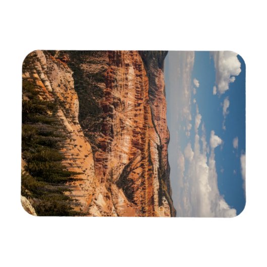 Cedar Breaks National Monument, Utah Magnet (Horizontal)