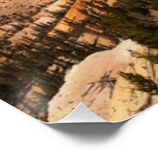 Cedar Breaks National Monument, Utah Poster (Ecke)