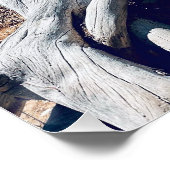 Cedar bricht Nationaldenkmal - Zweigstelle Poster (Ecke)