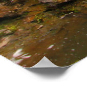 Cedar Cliff Falls, Cedarville, Ohio Poster (Ecke)