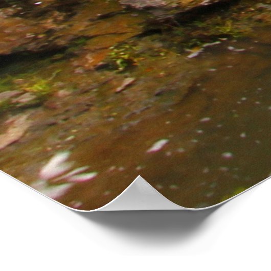 Cedar Cliff Falls, Cedarville, Ohio Poster (Ecke)