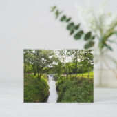 Cedar Cliff Falls, Cedarville, Ohio Postkarte (Stehend Vorderseite)