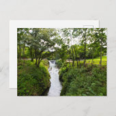 Cedar Cliff Falls, Cedarville, Ohio Postkarte (Vorne/Hinten)