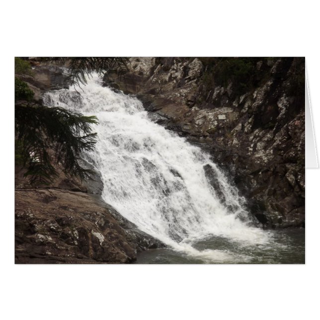 Cedar Creek Falls (Vorderseite (Horizontal))