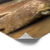 Cedar Falls Ohio Print Poster (Ecke)