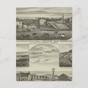 Cedar Grove Stock Farm und Roberts Ranch, Kansas Postkarte