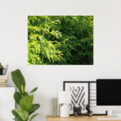 Cedar Hedge Poster (Heimbüro)