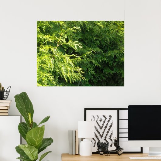 Cedar Hedge Poster (Heimbüro)