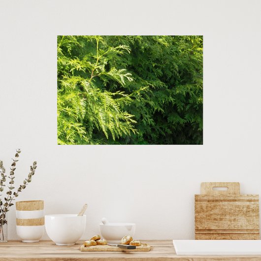 Cedar Hedge Poster (Küche)