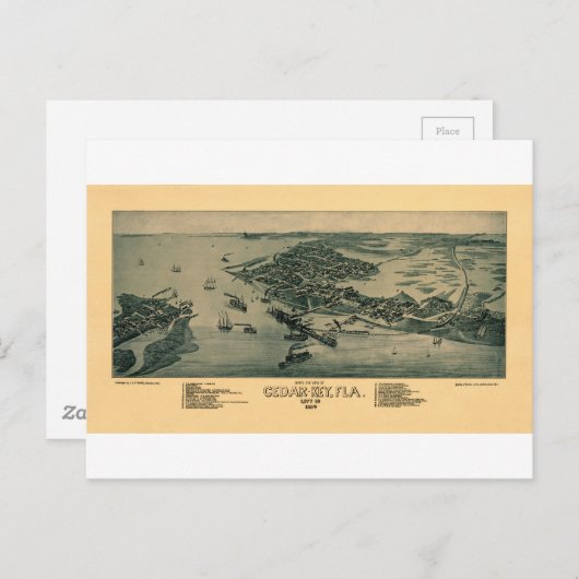 Cedar Key Postkarte (Vorne/Hinten)