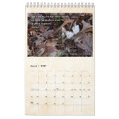 Cedar Rapids Zen Center 2020 Kalender (Mär 2027)