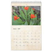 Cedar Rapids-Zen-Mitte-Kalender 2019 Kalender (Mär 2027)