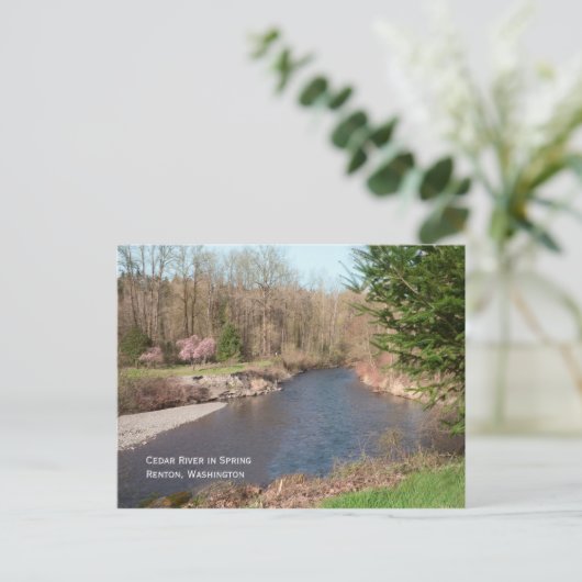 Cedar River Beach Postcard Postkarte (Stehend Vorderseite)