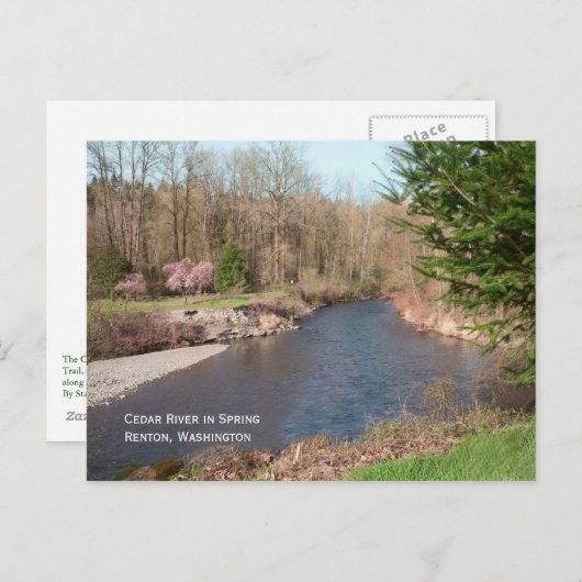 Cedar River Beach Postcard Postkarte (Vorne/Hinten)