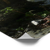Cedar Run auf dem White Oak Canyon Poster (Ecke)