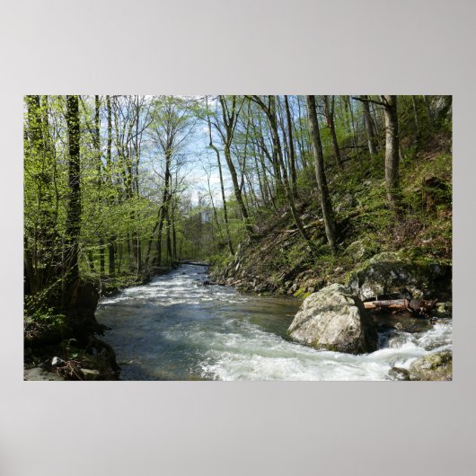 Cedar Run auf dem White Oak Canyon Poster (Vorne)