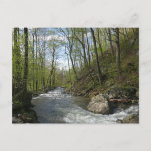 Cedar Run auf dem White Oak Canyon Postkarte