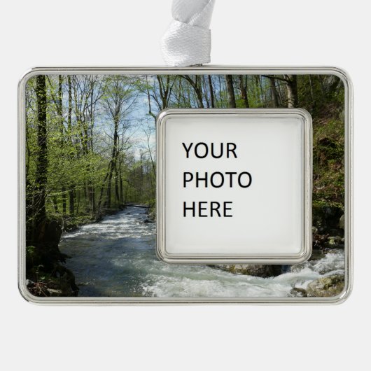 Cedar Run auf dem White Oak Canyon Rahmen-Ornament Silber (Vorderseite)