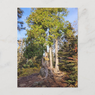Cedar Throne Tettegouche Minnesota Postkarte