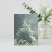 Cedar Tree Postcard Postkarte (Stehend Vorderseite)