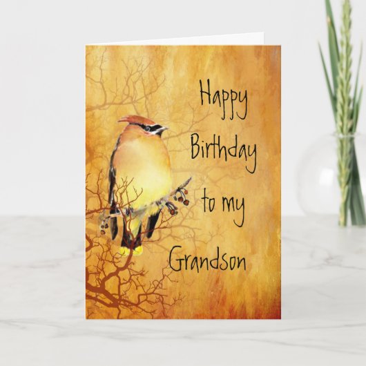 Cedar Waxwing Bird Best Grandson Birthday Karte (Vorderseite)
