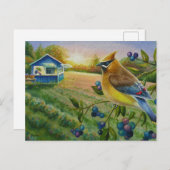 Cedar Waxwing Bird Blueberge Farm Kunst, Dichtung Postkarte (Vorne/Hinten)