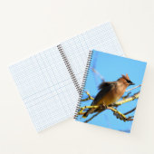 Cedar Waxwing Bird Notizblock (Innenseite)