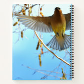 Cedar Waxwing Bird Notizblock (Rückseite)
