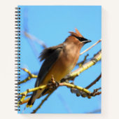 Cedar Waxwing Bird Notizblock (Vorderseite)