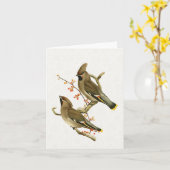 Cedar Waxwing Bird Urlaub Natur Schneeflocke Karte (Gelbe Blume)