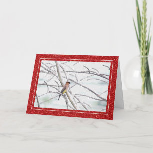 Cedar Waxwing Bird Winter Christmas Karte