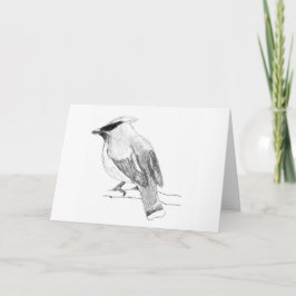 Cedar Waxwing Blank Grußkarte Karte