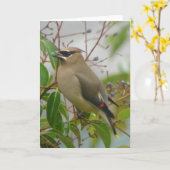 Cedar Waxwing Card Karte (Gelbe Blume)