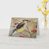 Cedar Waxwing Eating Berries Grußkarte Karte (Gelbe Blume)