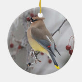 Cedar Waxwing Eating Berries Ornament (Hinten)