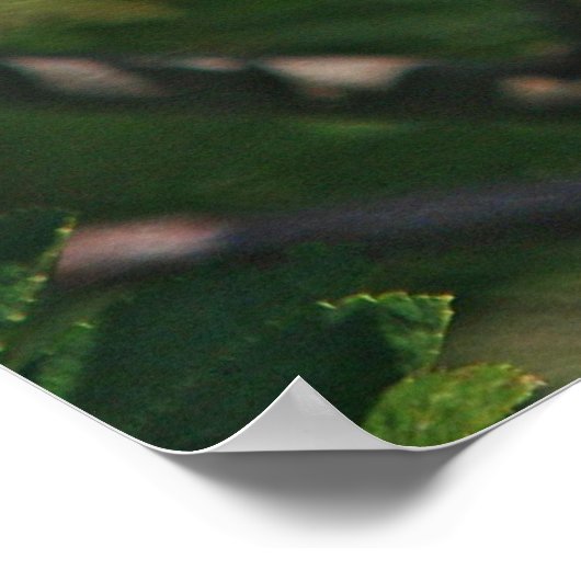 Cedar Waxwing Eating Mountain Ash Berry Poster (Ecke)