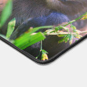 Cedar Waxwing Fledgling Bird Personalisiert Schreibtischunterlage (Ecke)