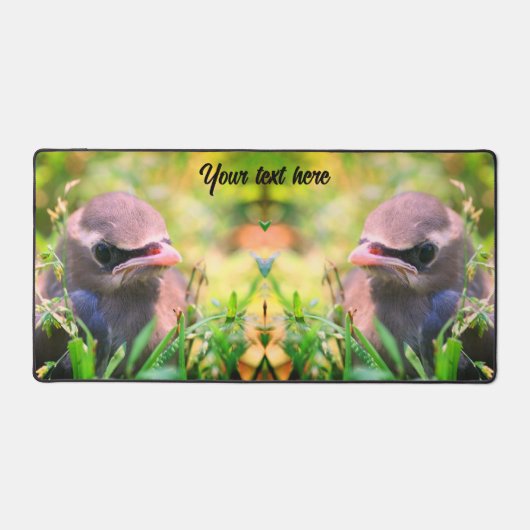 Cedar Waxwing Fledgling Bird Personalisiert Schreibtischunterlage (Vorderseite)