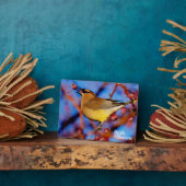 Cedar Waxwing Fotoplatte (Seite)