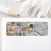 Cedar Waxwing in Winter Animal Address (Insitu)