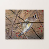 Cedar Waxwing | Jigsaw Puzzle (Horizontal)