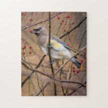 Cedar Waxwing | Jigsaw Puzzle