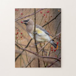 Cedar Waxwing | Jigsaw Puzzle